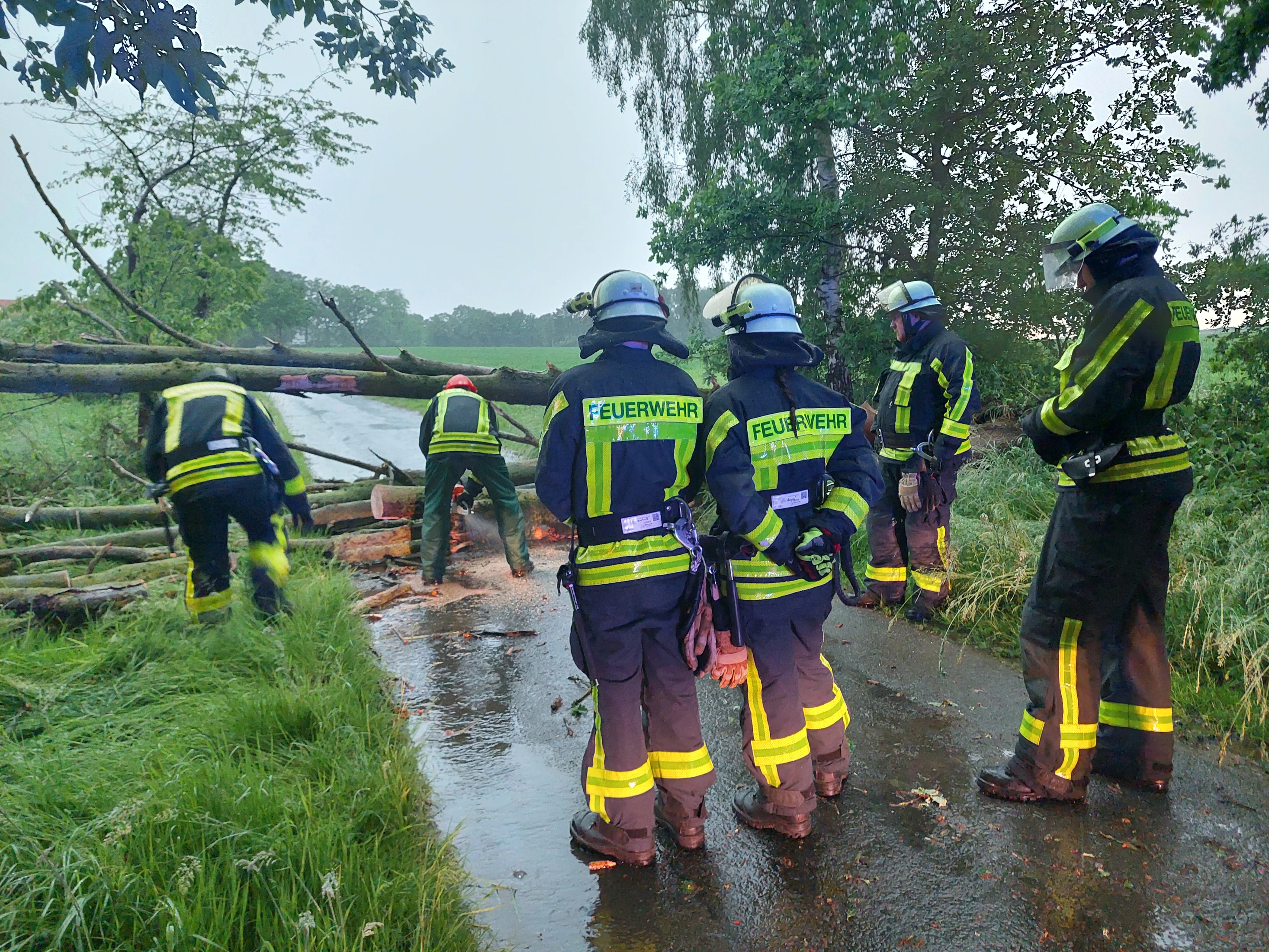 Unwetter & Waldbrand